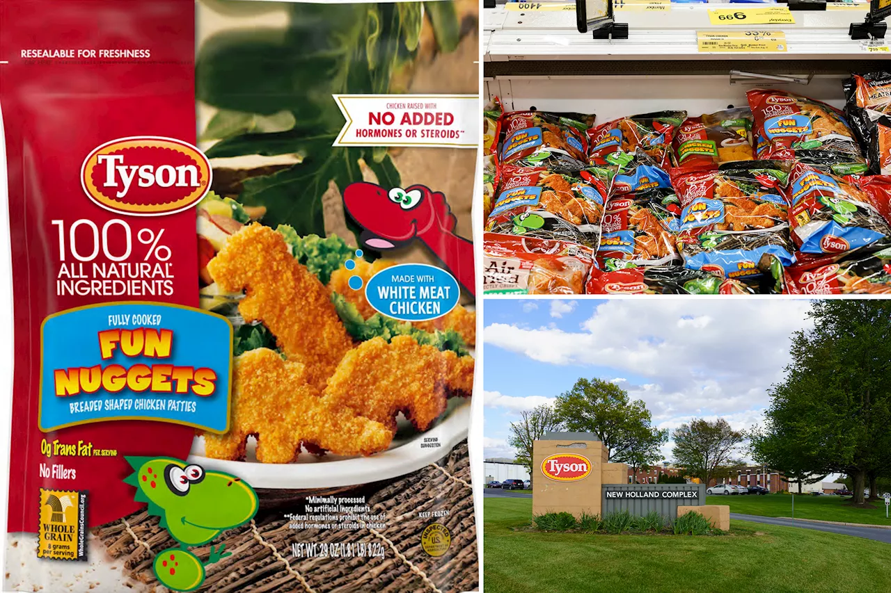 Tyson dino chicken nuggets recalled after reports of metal pieces