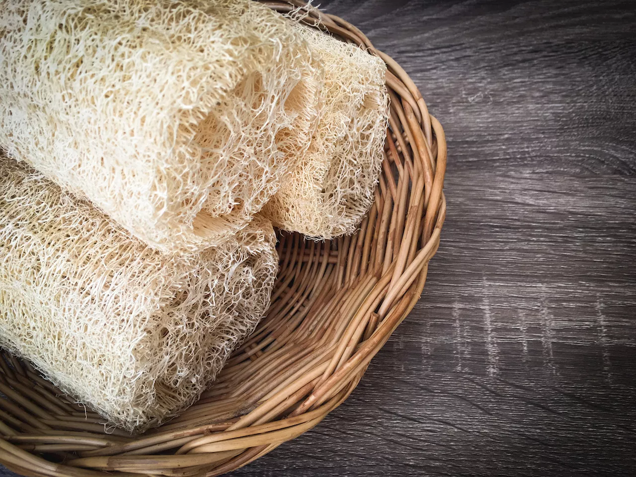 You'll never believe what loofahs are really made of