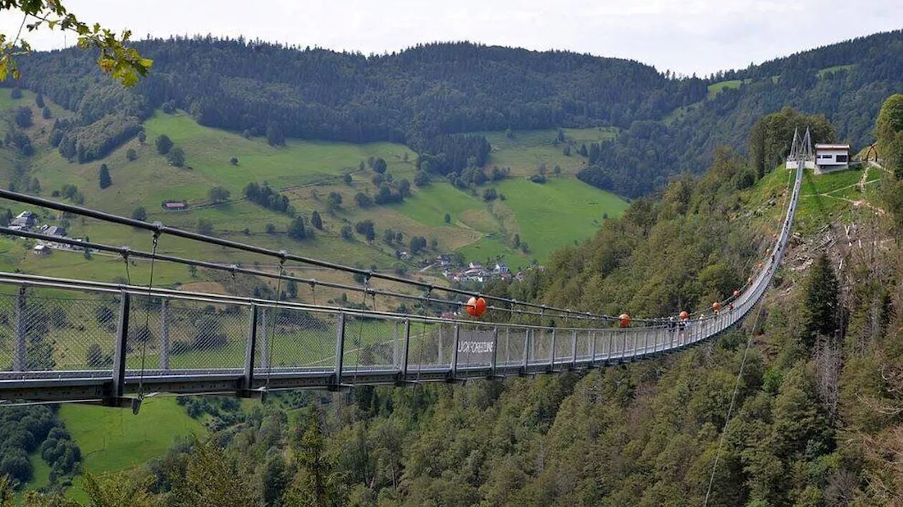 Frissons garantis avec cette passerelle suspendue à 120 mètres du sol en pleine montagne