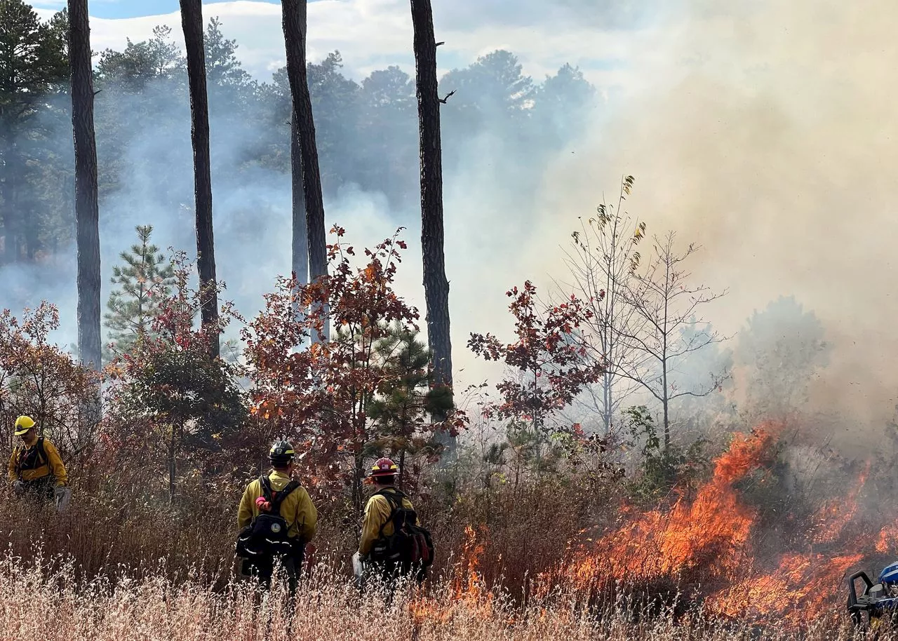 North Carolina officials declare state of emergency due to wildfires