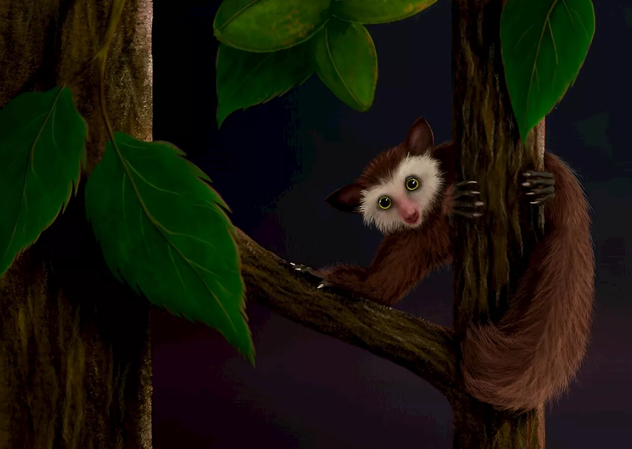 Fossils tell tale of last primate to inhabit North America before humans