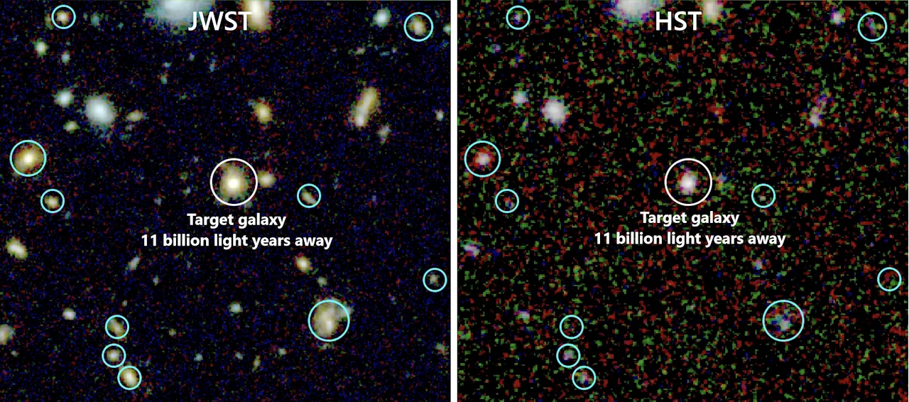 New Webb images show gas-rich baby galaxies setting the early universe alight