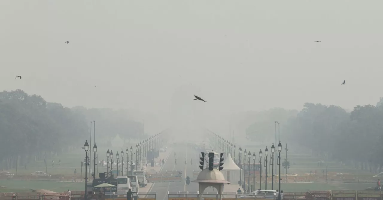 India's New Delhi to restrict use of vehicles to curb air pollution