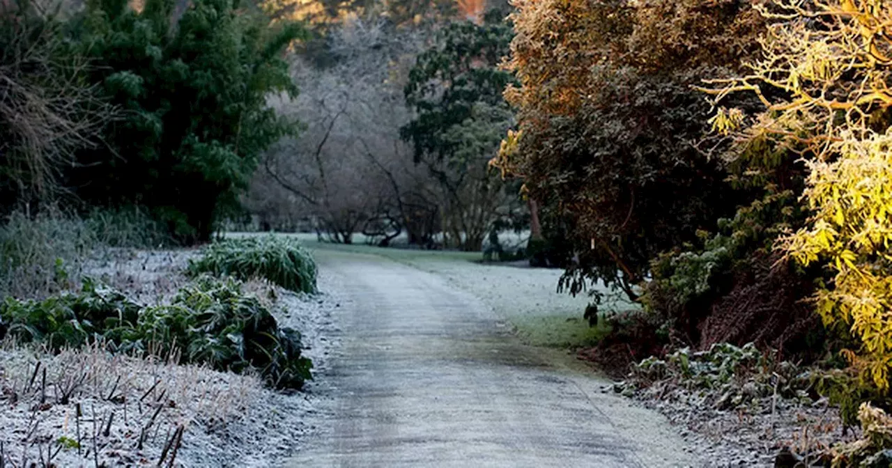 Met Eireann confirms date temperatures drop below zero with frost and ice