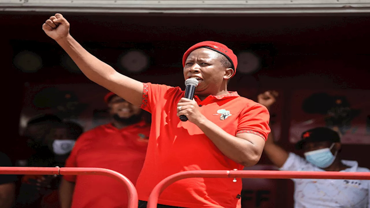 Malema urges EFF volunteers to run clean campaign - SABC News - Breaking news, special reports, world,