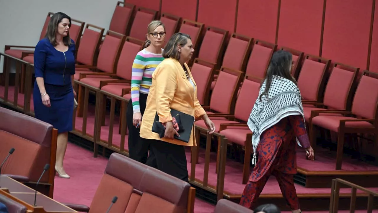 'Gutless cowards': Greens invoke 'people's protest' in Senate walkout over Hamas-Israel war