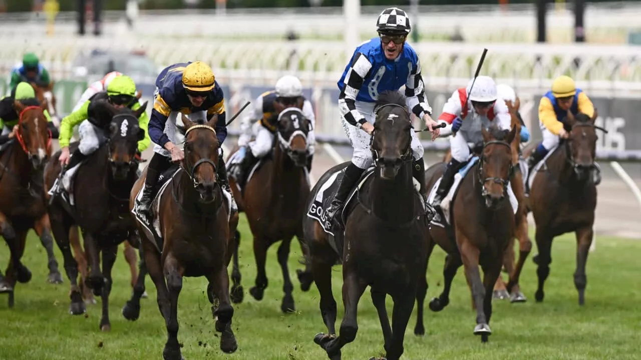 Violence, gambling and animal welfare concerns: Are people turning away from the Melbourne Cup?