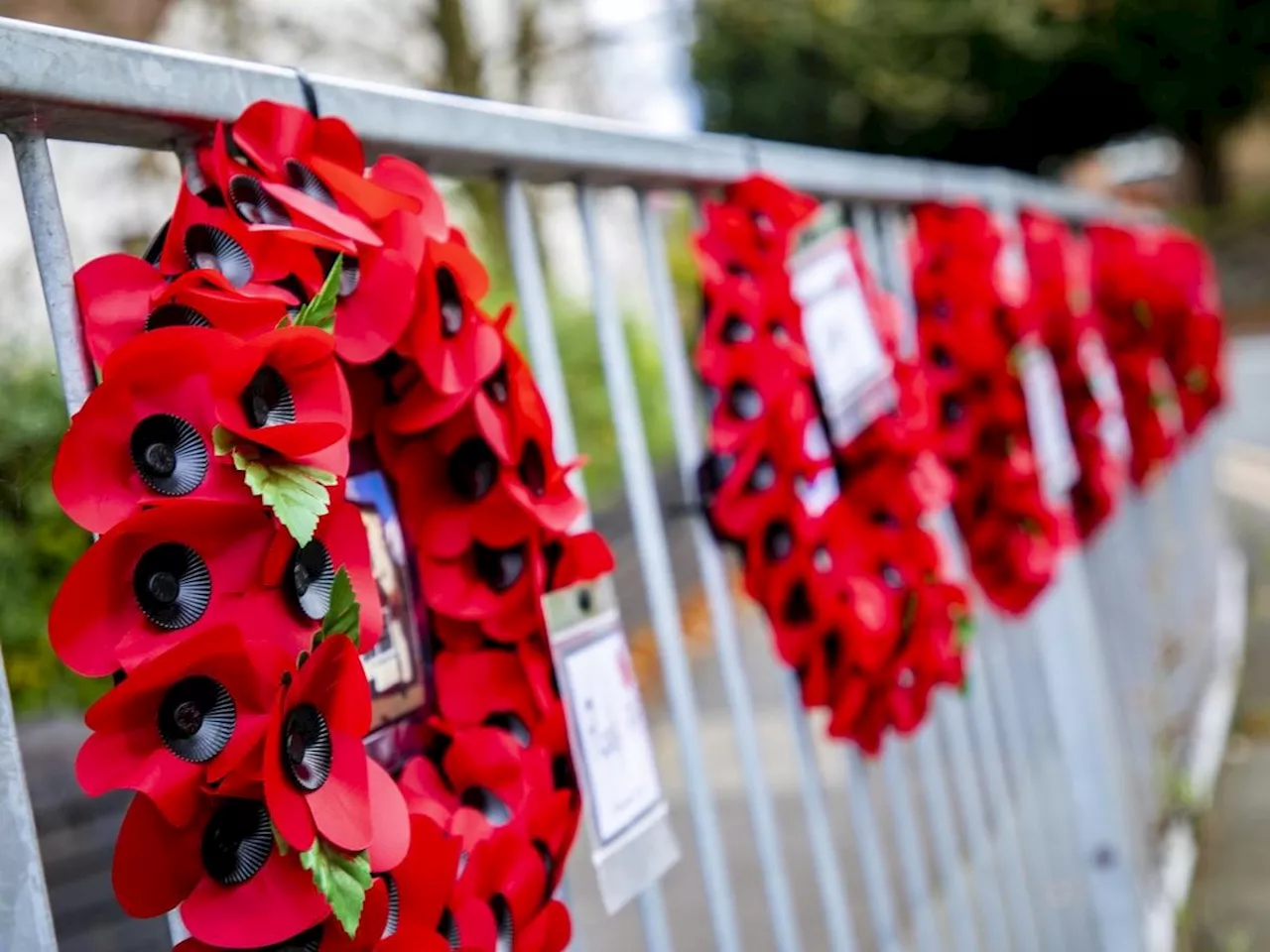 Remembrance Day 2023: The Shropshire services being held next weekend