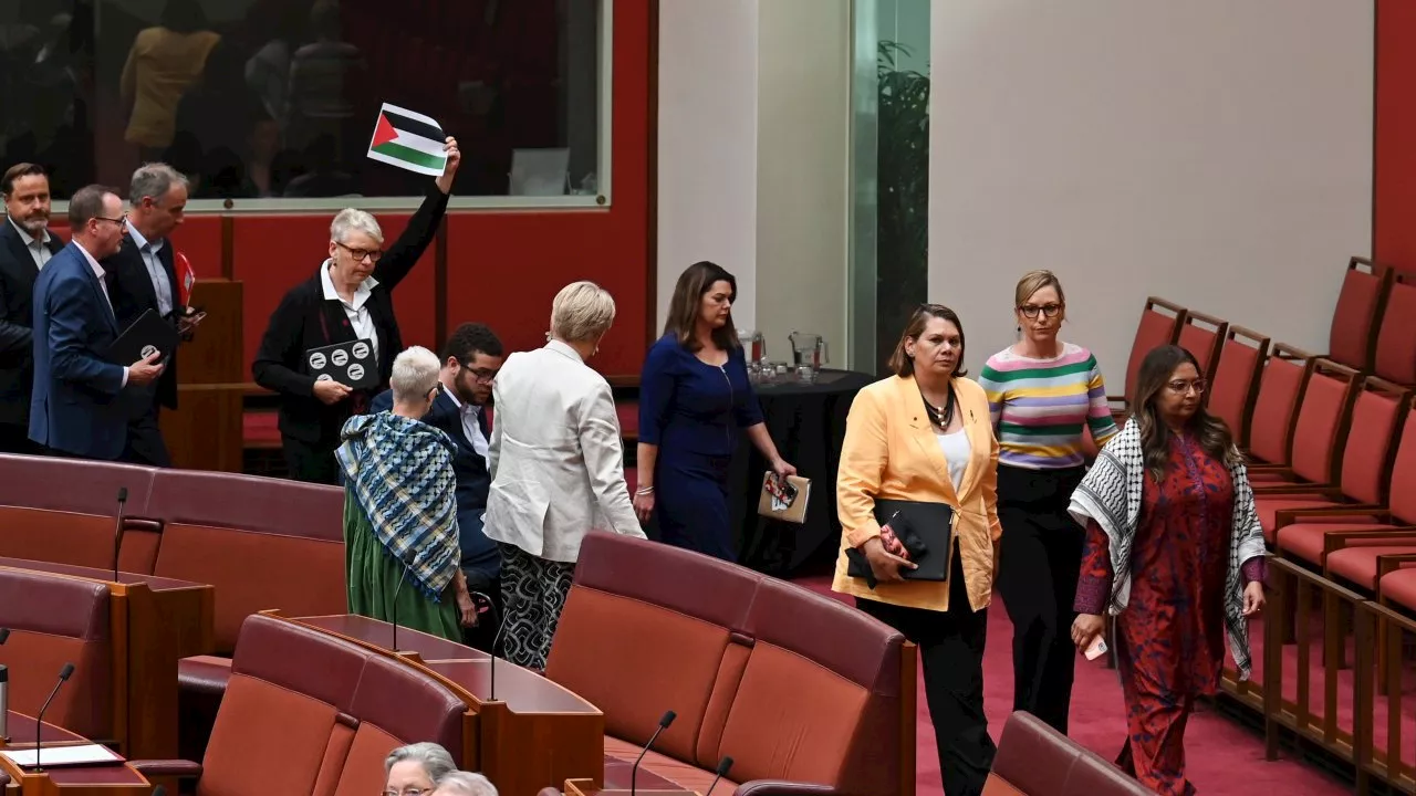 ‘Heartless, gutless cowards’: Greens stage Senate walkout over Labor’s response to war in Gaza