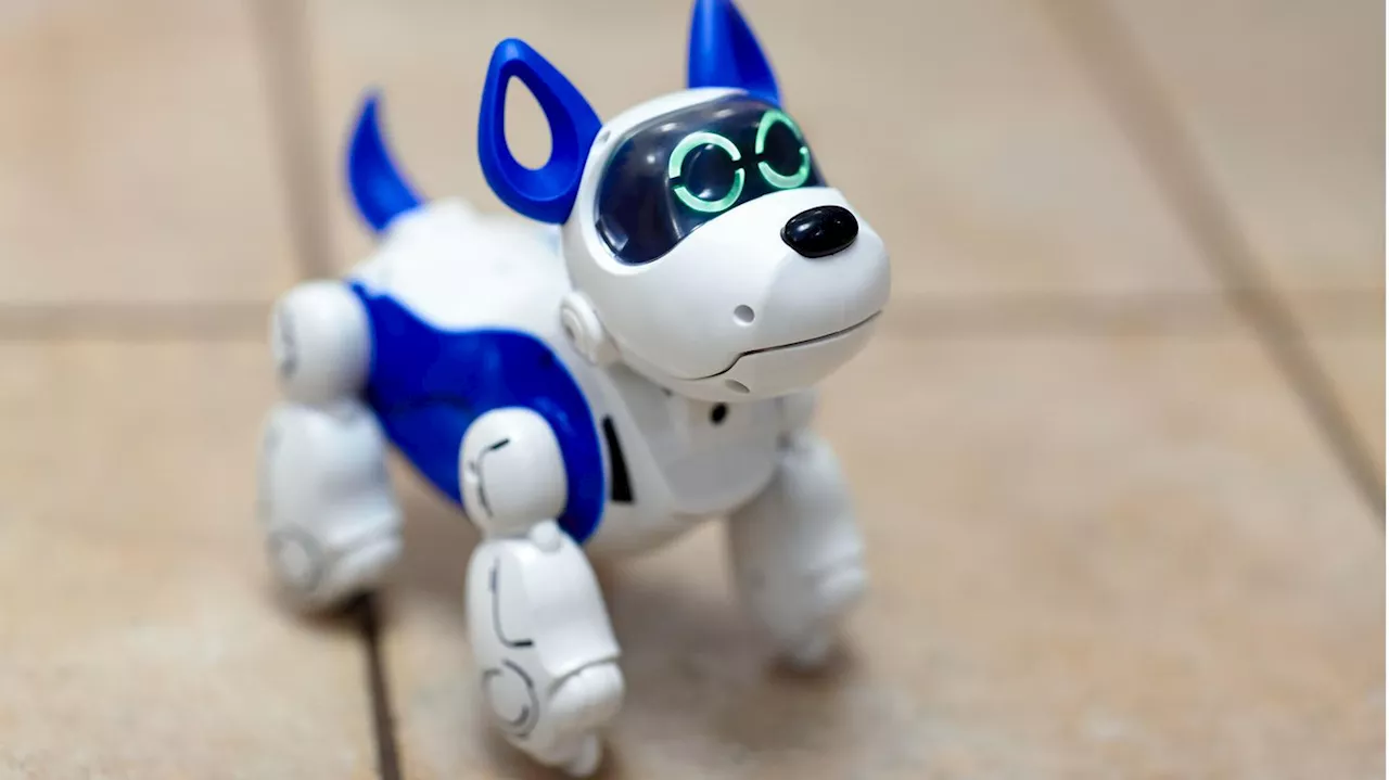 Roboterhund: Interkatives Spielzeug für Kinder im Vergleich