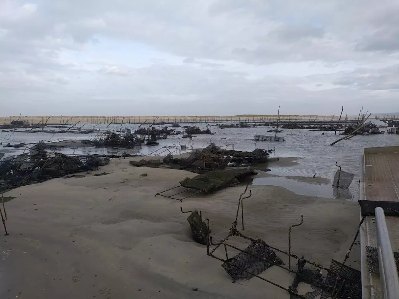 Tempête Ciaran : avec « 3 000 entreprises touchées », les ostréiculteurs français en mode survie