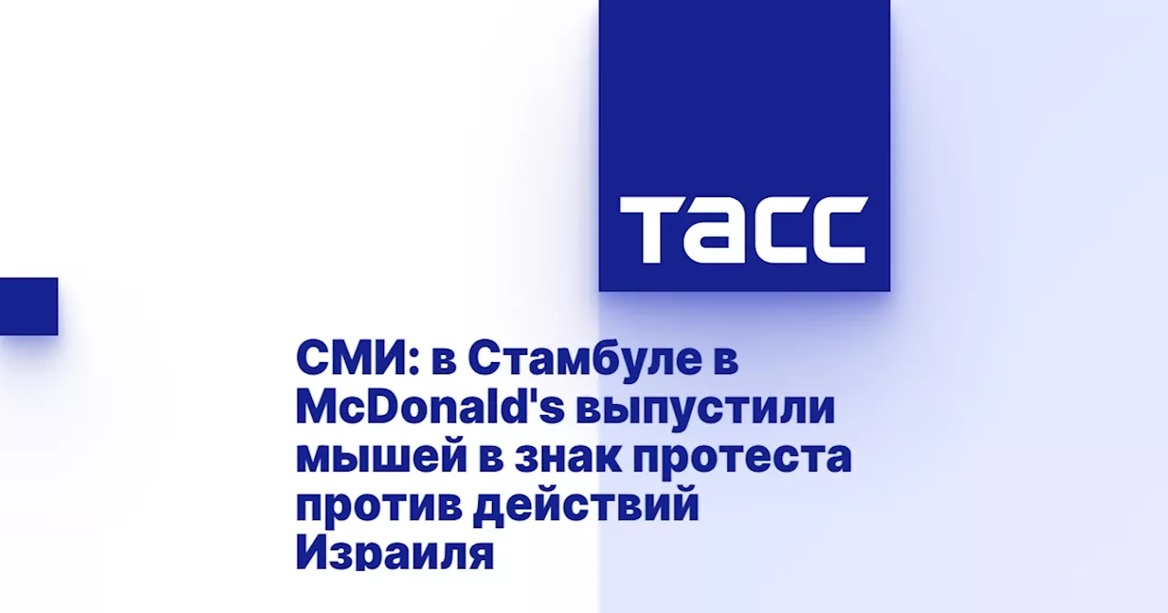 СМИ: в Стамбуле в McDonald's выпустили мышей в знак протеста против действий Израиля