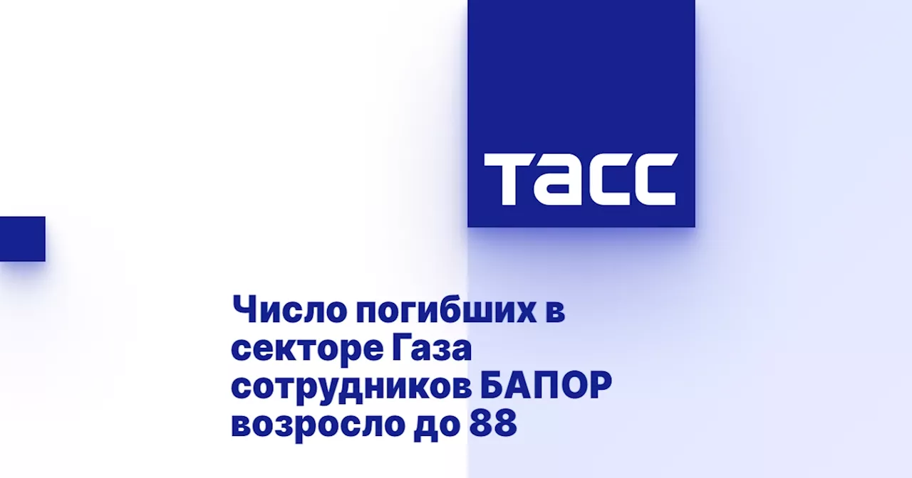 Число погибших в секторе Газа сотрудников БАПОР возросло до 88