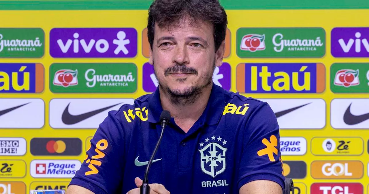 Quem não se adaptar ao estilo de Diniz ficará fora da Seleção