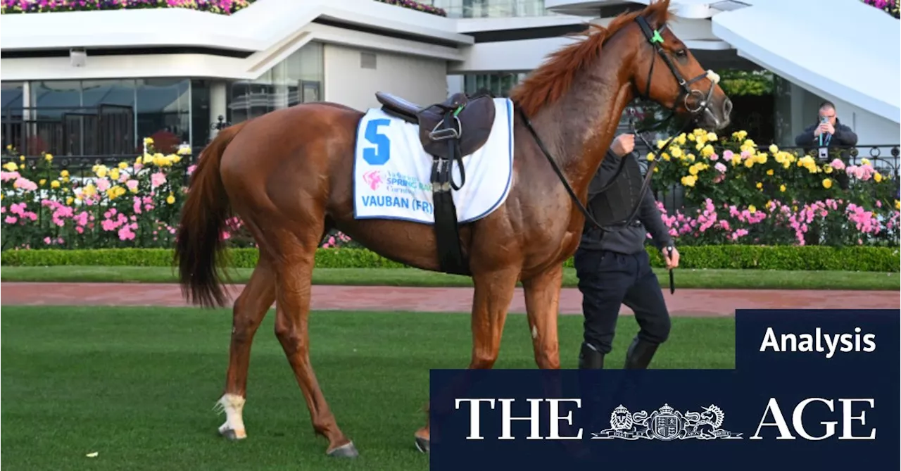 How to read the Melbourne Cup form, and the five best bets for Cup Day