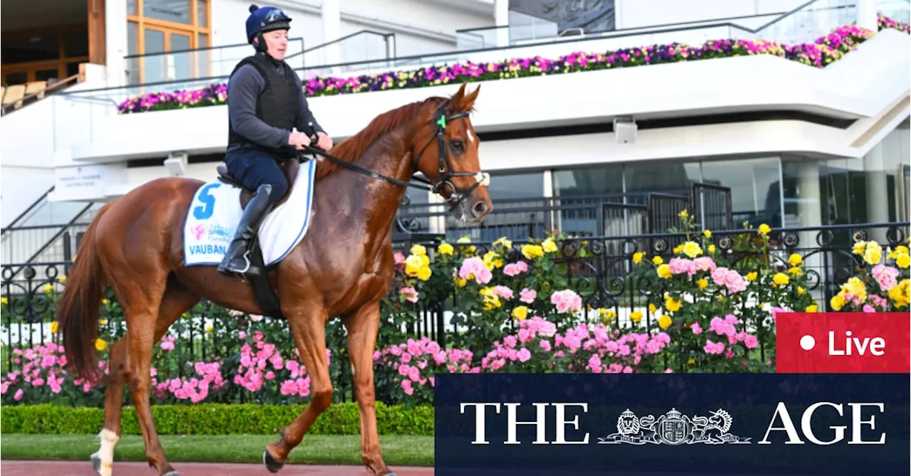 Melbourne Cup 2023 LIVE updates: Stewards make call on Alenquer on race day