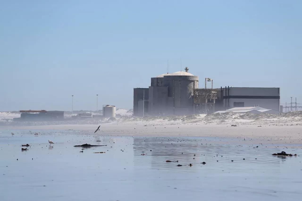 Here comes the nuclear IPP in SA