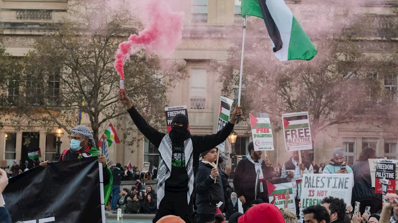 Banning pro-Palestine march could raise tensions and leave police overwhelmed, warn ex-officers