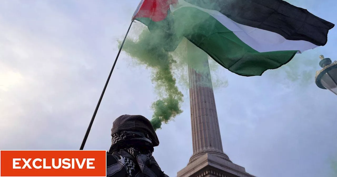 Frontline Met officer challenges ministers over pro-Palestinian protest ban demands