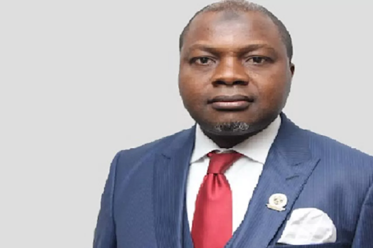 Securitisation can help govt to fast-track growth, says Amolegbe