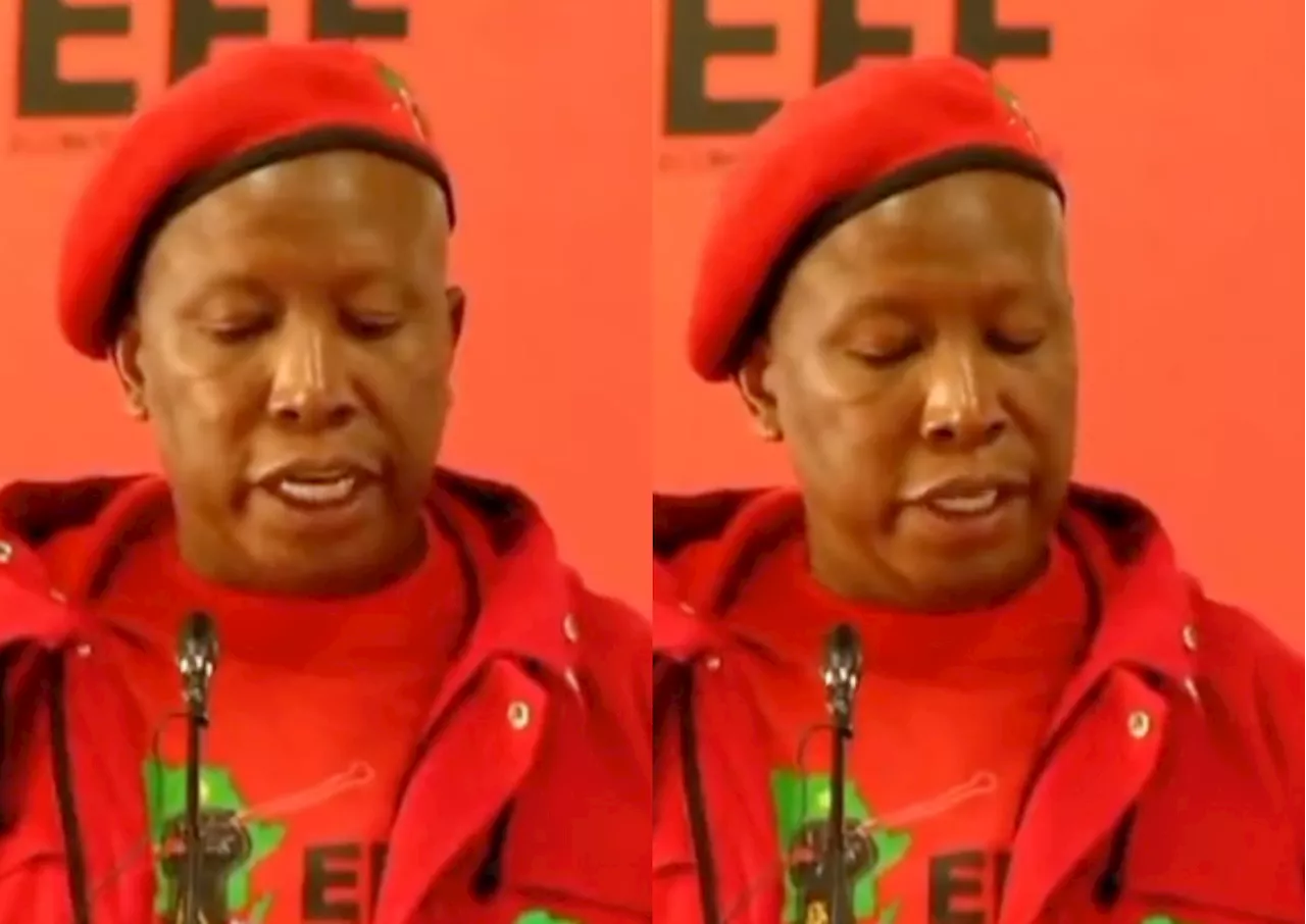 Julius Malema blasts white Springbok fans for singing ‘De la Ray’