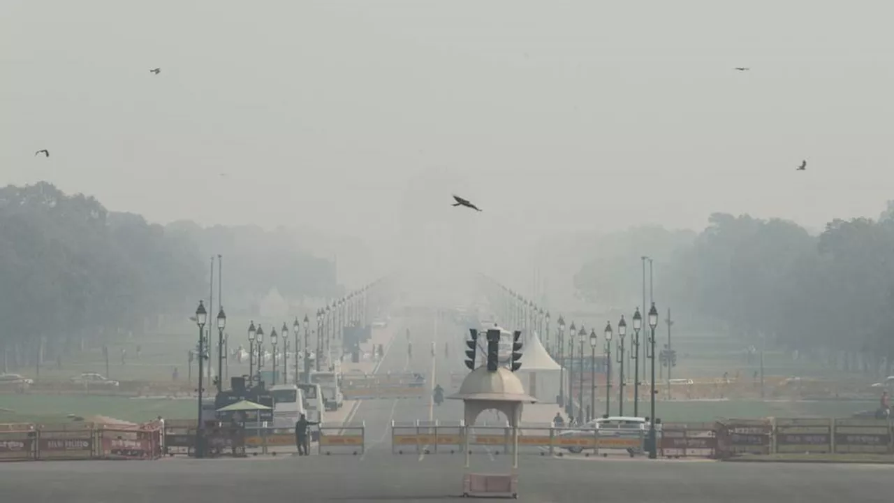 New Delhi primary schools shut as 'severe' air pollution continues