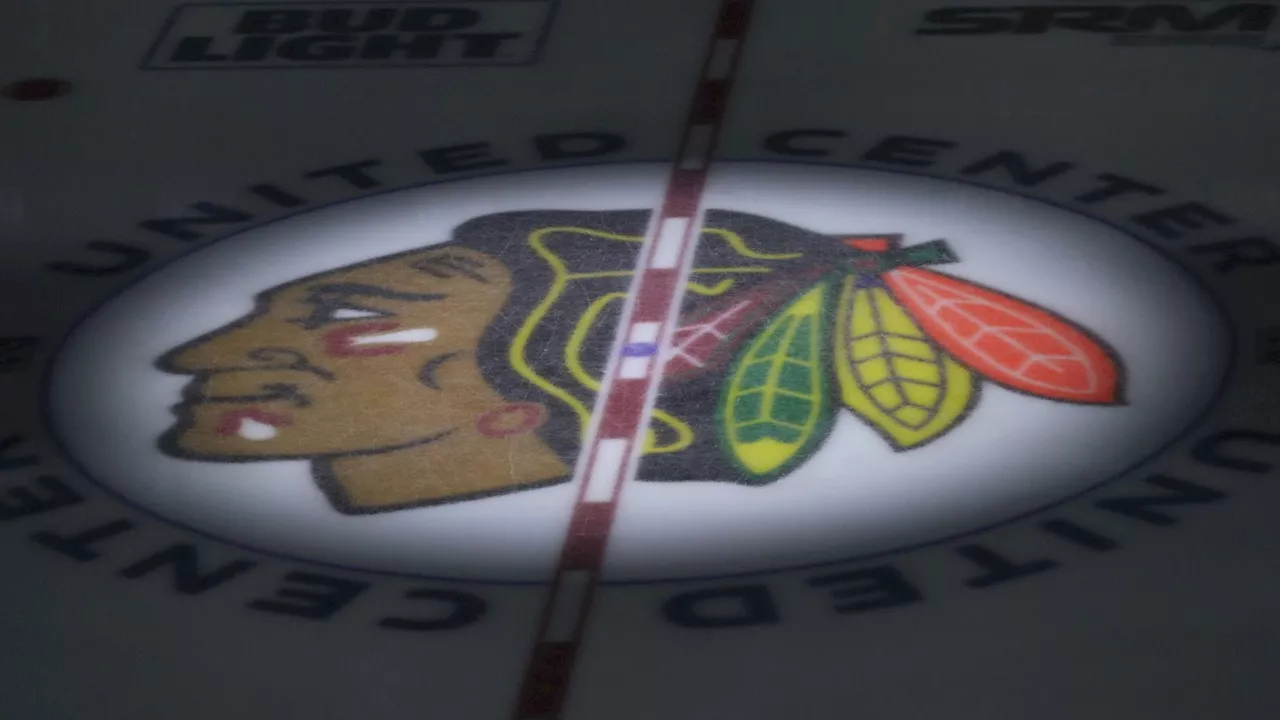 Report: Second member of 2010 Blackhawks sues team