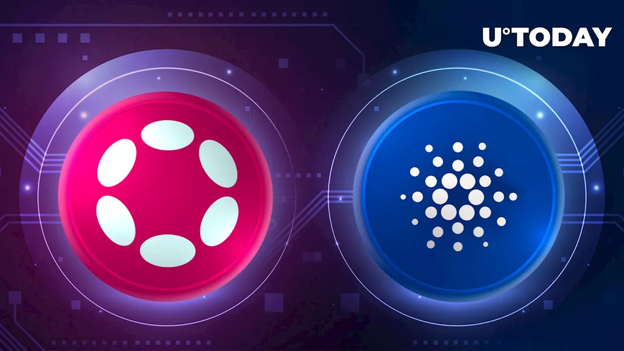 Polkadot (DOT) Makes Cardano Announcement, What Does It Relate To?
