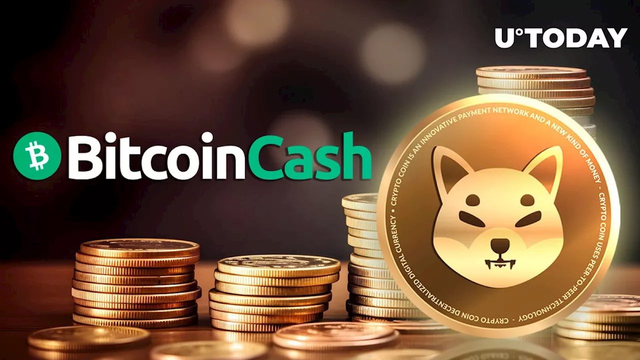 Shiba Inu (SHIB) Unseats Bitcoin Cash as Market Phenomenon Revealed