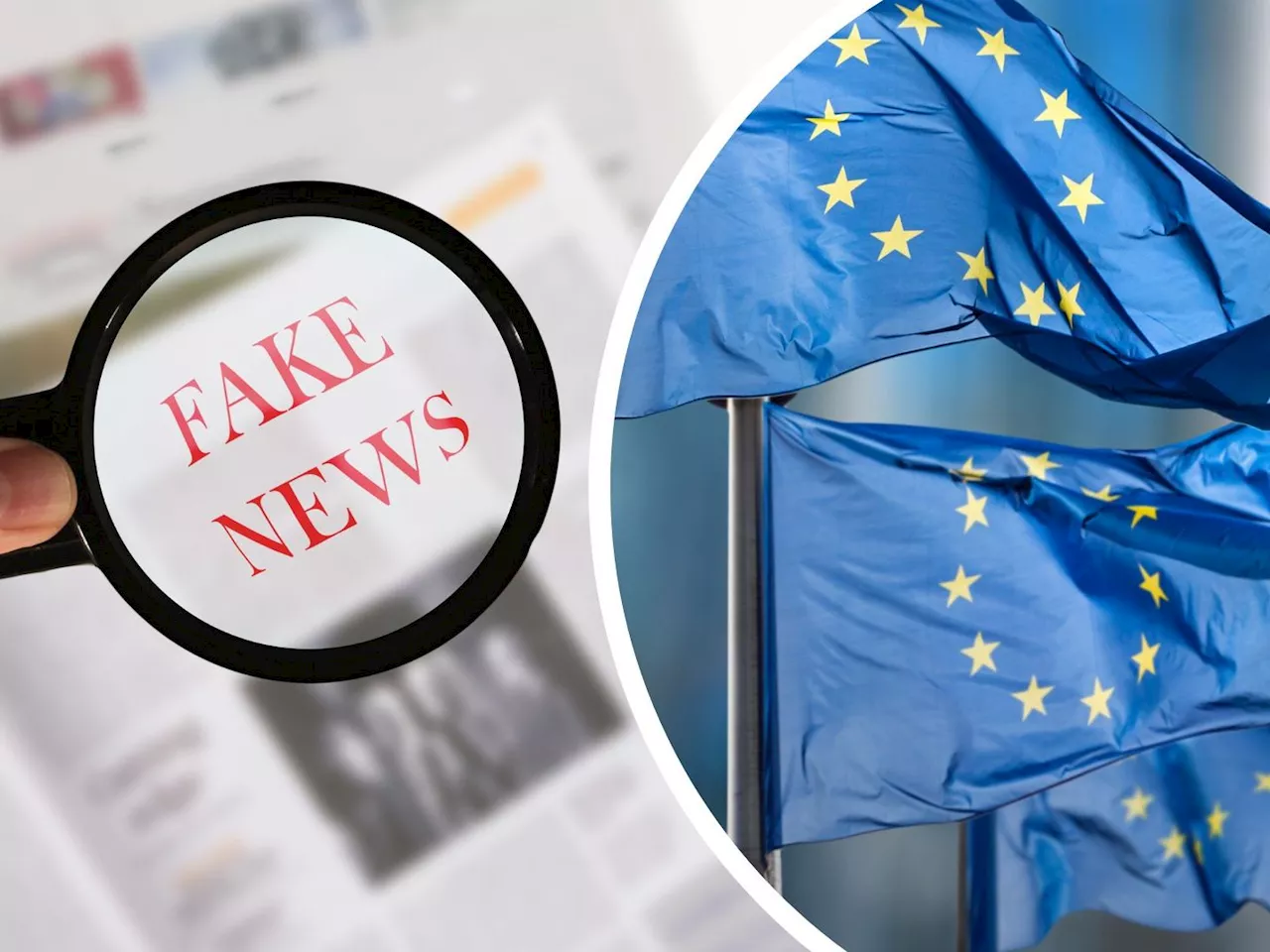 Österreicher befürchten bei Europawahl Fake News und Desinformation