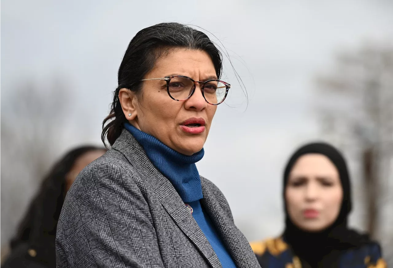 Tlaib draws criticism from fellow Democrats with comments about Israel, Palestinians