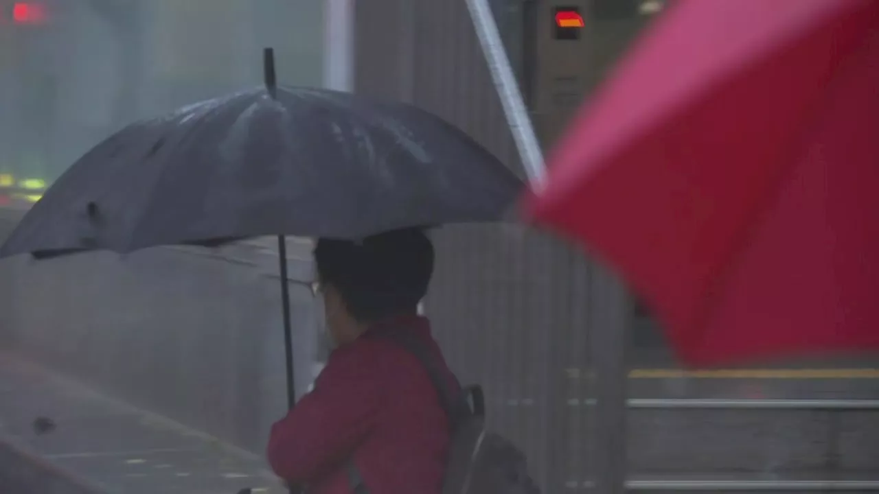 [날씨] 오전까지 전국 강한 비바람...비 온 뒤 '반짝 추위'