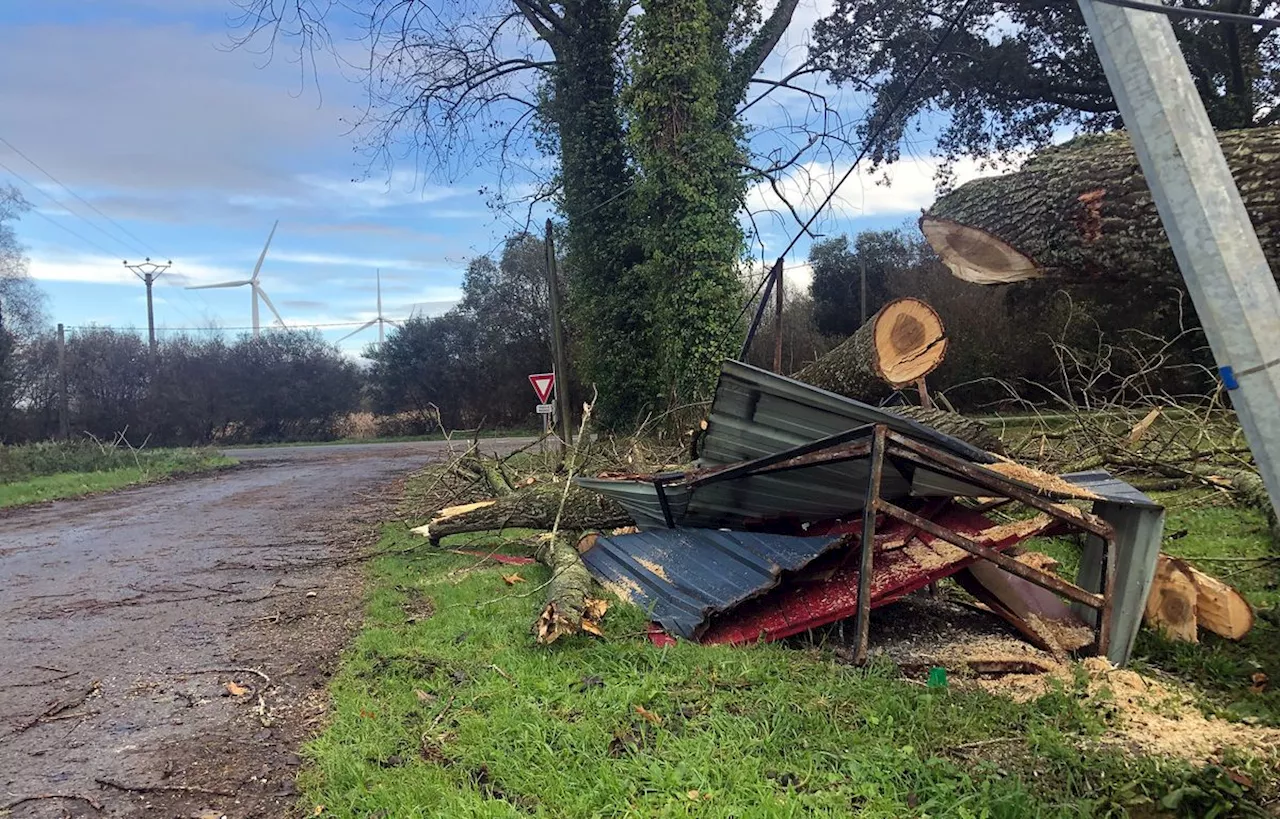 Tempête Ciaran : 65.000 foyers toujours privés d’électricité en Bretagne