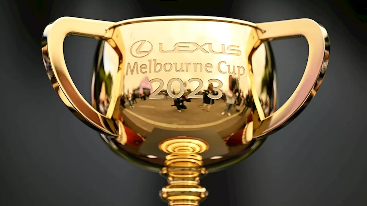 Melbourne Cup 2023 finishing order from first to last as Without A Fight claims victory