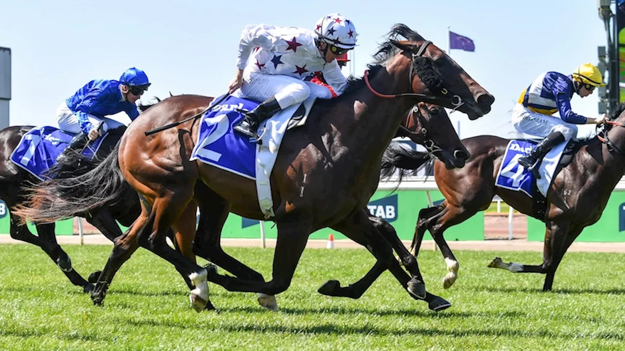 Melbourne Cup live updates: Crowds flock to Flemington for Melbourne Cup Day