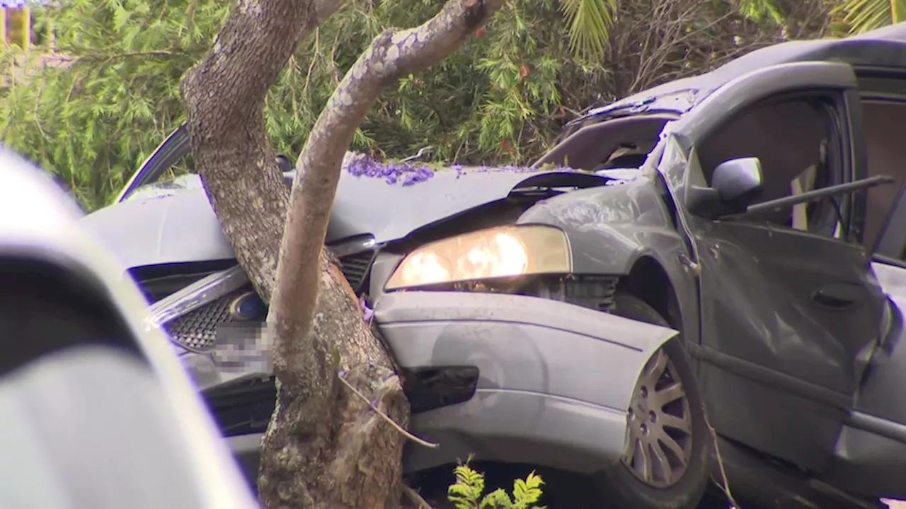 Two men arrested over involvement in fatal car crash at Ashcroft in Sydney's south-west