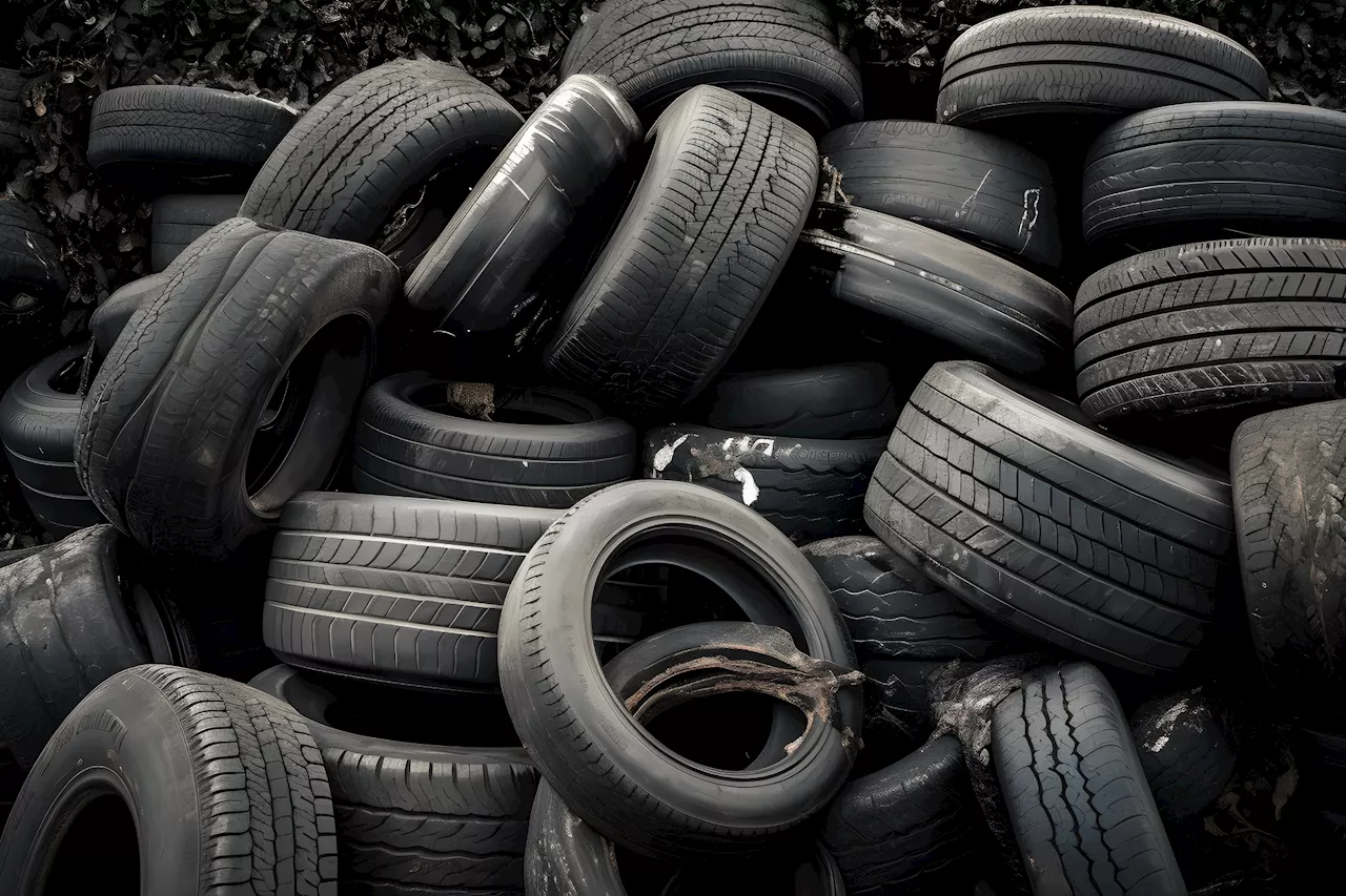 Sostenibilità, a Ecomondo l'economia circolare degli Pneumatici Fuori Uso