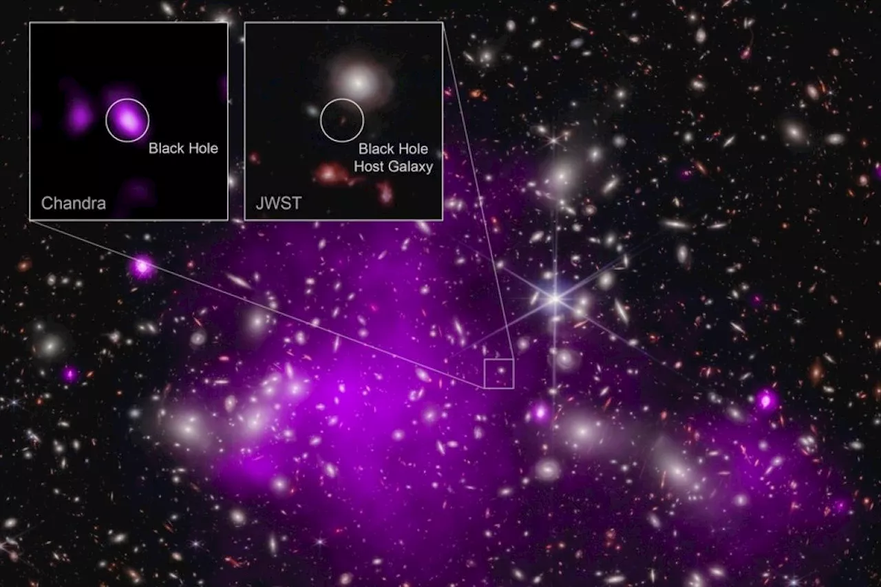 NASA temukan lubang hitam dengan jarak terjauh yang pernah terdeteksi