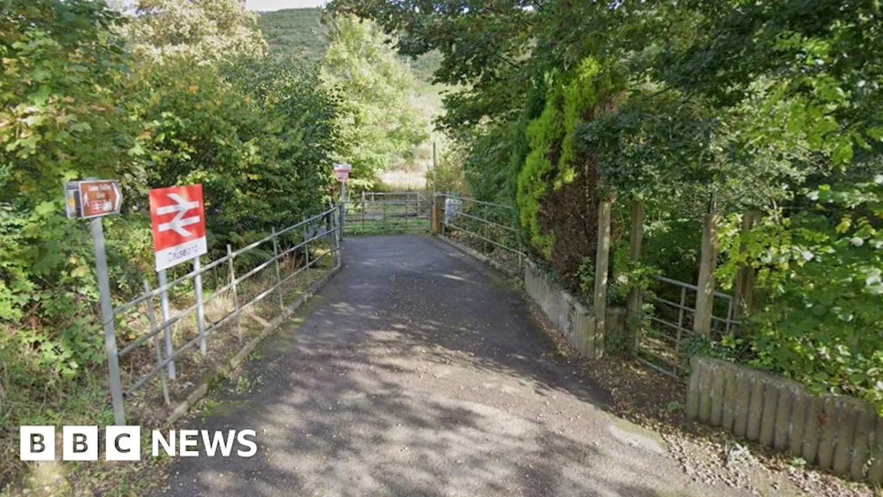 Rail disruption after train hits tree in Cornwall