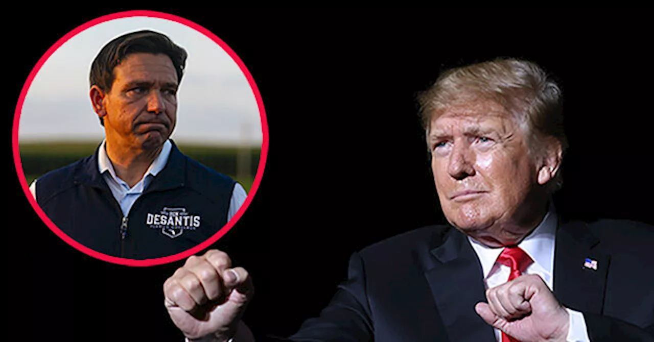 Florida Poll: Trump at 60 Percent, Leads DeSantis by Nearly 40 Points in Sunshine State