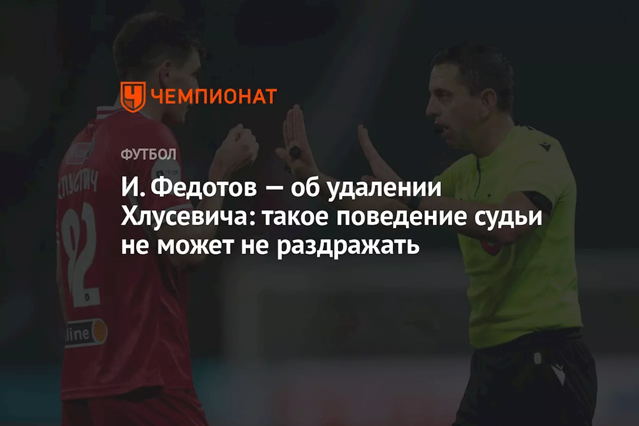 И. Федотов — об удалении Хлусевича: такое поведение судьи не может не раздражать