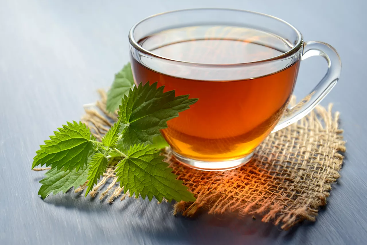 Régime en hiver : cette tisane écoeurante qui fait fondre la graisse en un clin d'œil