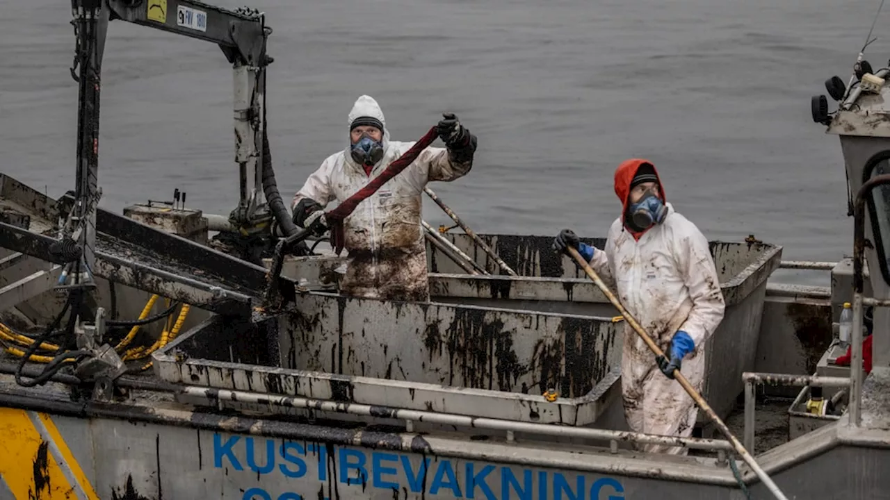 Miljöforskaren förklarar hur oljeutsläppet påverkar miljön