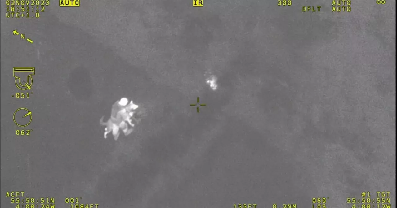 Helicopter captures moment police dog hunts down 'car thief' in Scots woods