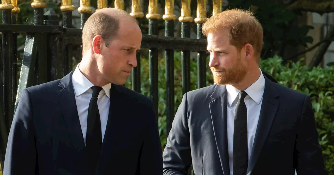 Prince Harry's brutal two-word snub to William as he rejected his peace offering