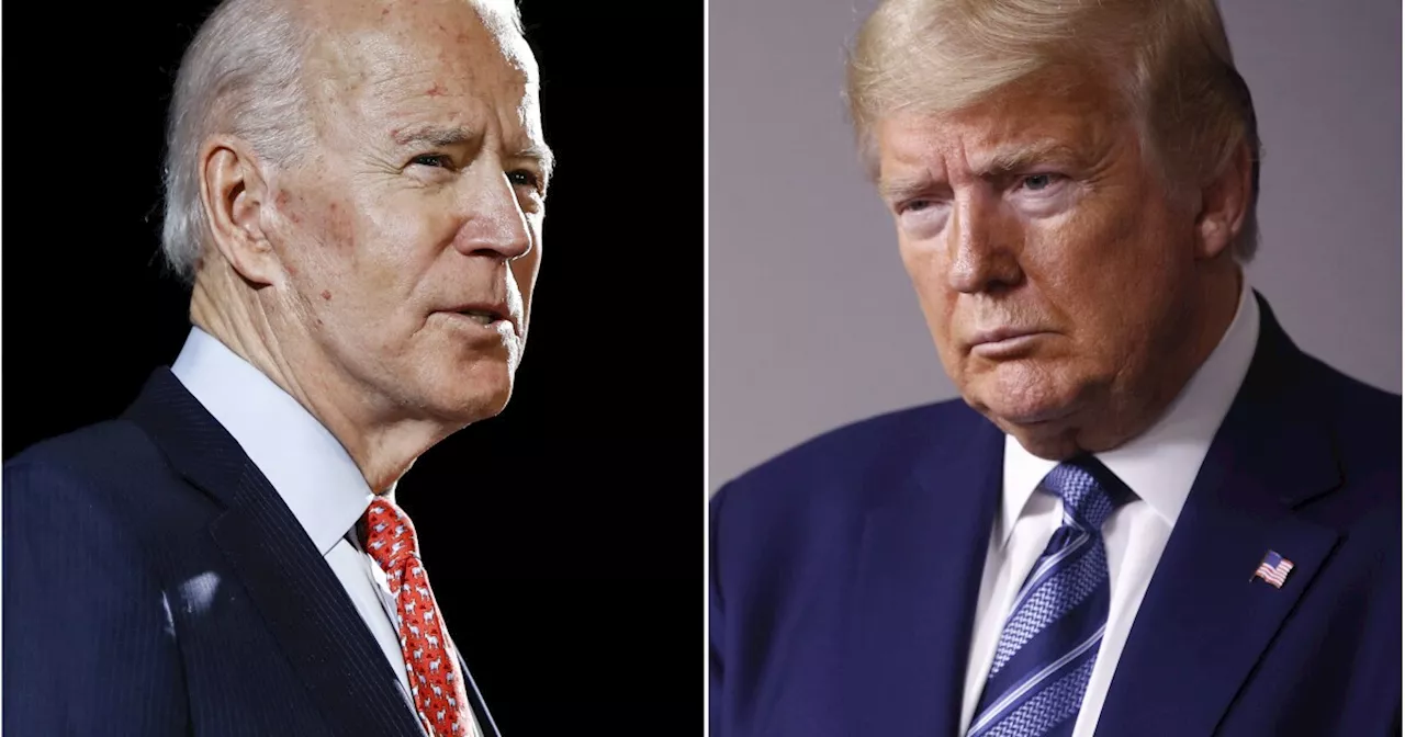 White House downplays new polls showing Trump leading Biden