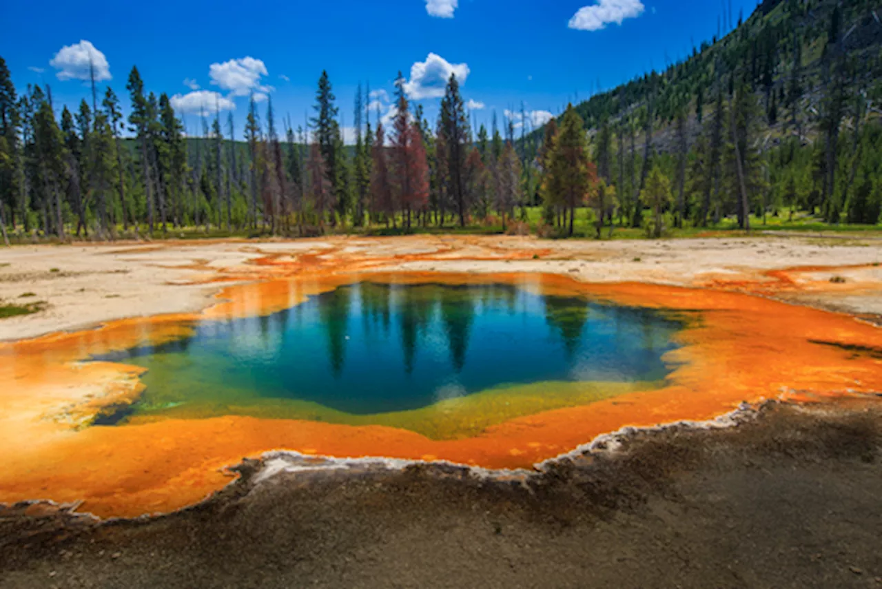 What Does a Year at Yellowstone Caldera Look Like?