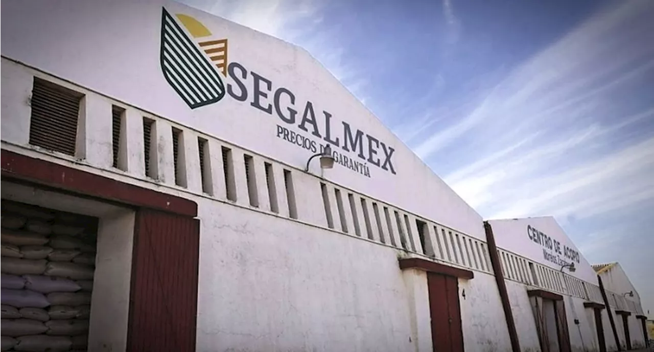 Desfalcos, fraudes y hasta drogas; las polémicas en Segalmex