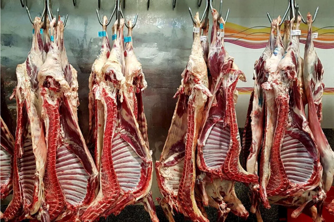 مصرف گوشت قرمز ربطی به التهاب و چاقی ندارد!