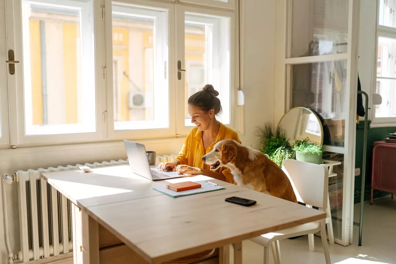 An Administrative Crisis In America: How To Bring The Future Of Work Back To The Future